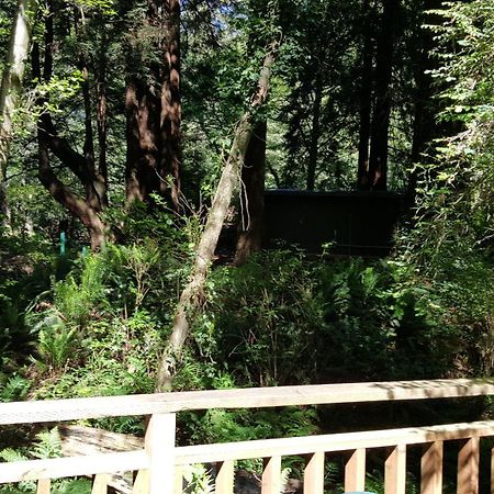 Emerald Forest Cabins Trinidad Ruang foto