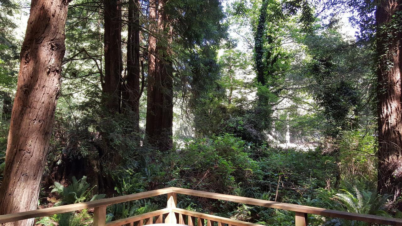 Emerald Forest Cabins Trinidad Bagian luar foto