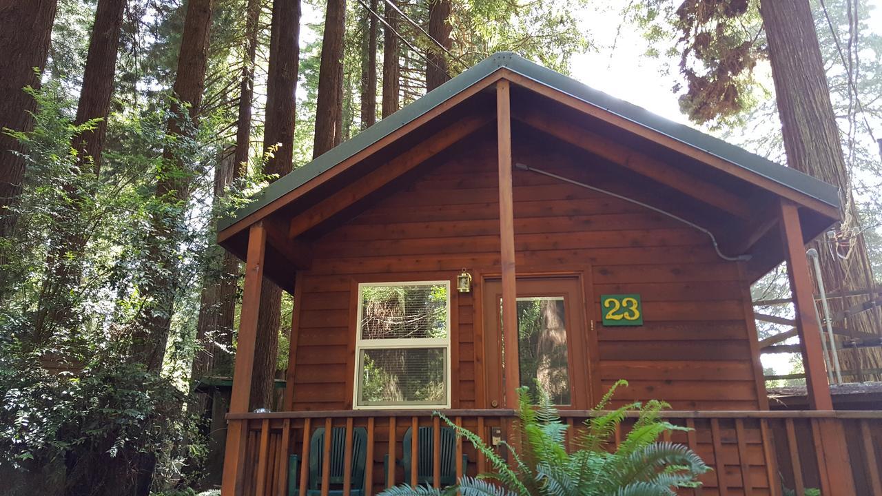 Emerald Forest Cabins Trinidad Bagian luar foto