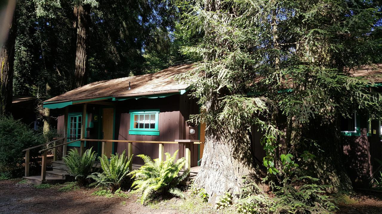Emerald Forest Cabins Trinidad Bagian luar foto