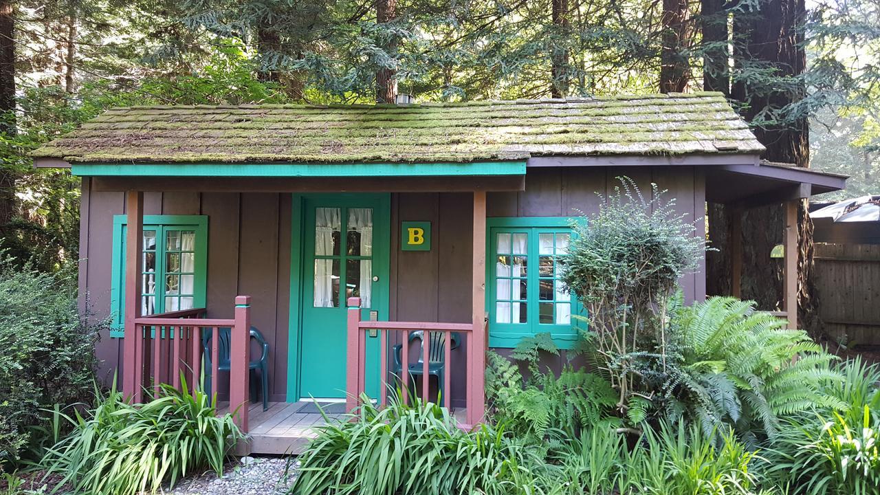 Emerald Forest Cabins Trinidad Bagian luar foto
