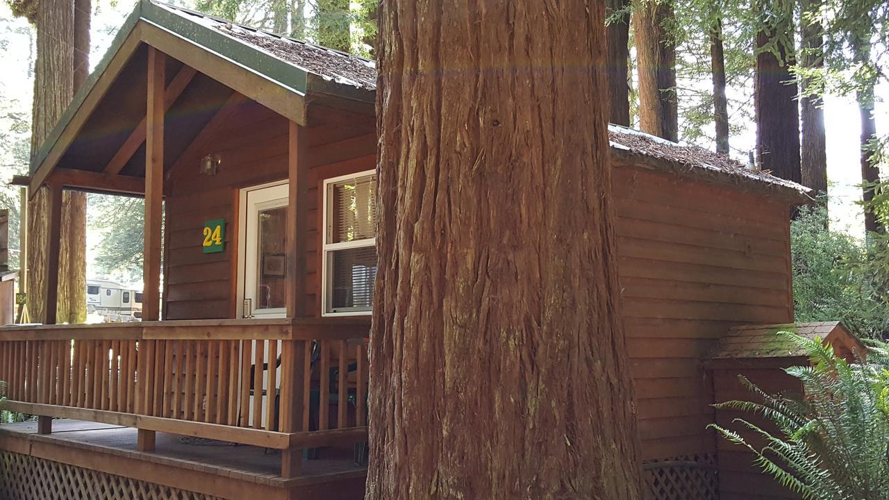 Emerald Forest Cabins Trinidad Bagian luar foto