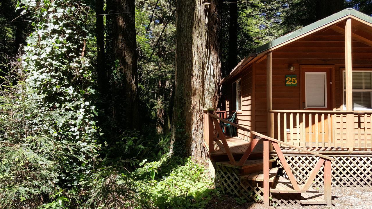 Emerald Forest Cabins Trinidad Bagian luar foto