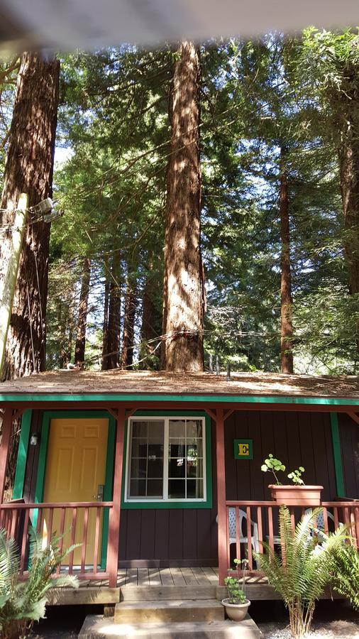 Emerald Forest Cabins Trinidad Ruang foto