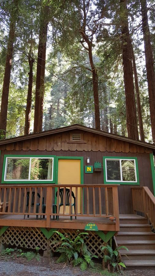Emerald Forest Cabins Trinidad Ruang foto
