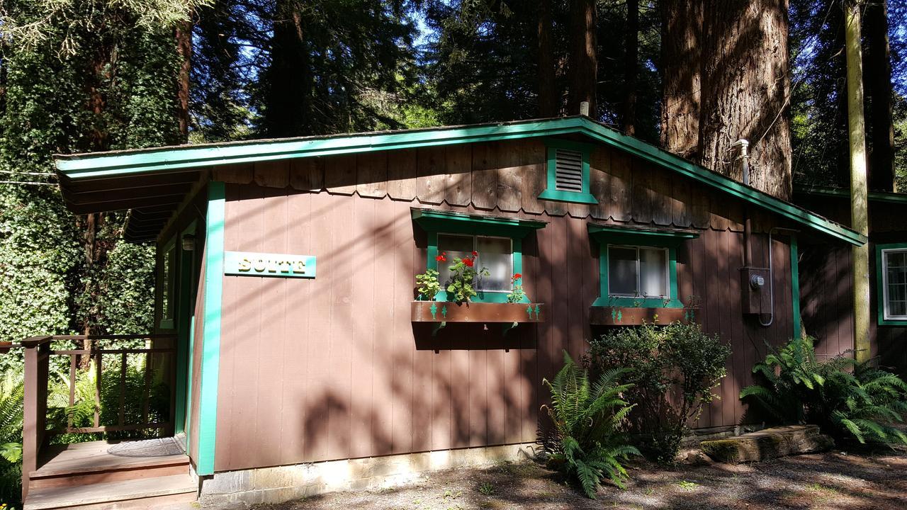 Emerald Forest Cabins Trinidad Ruang foto