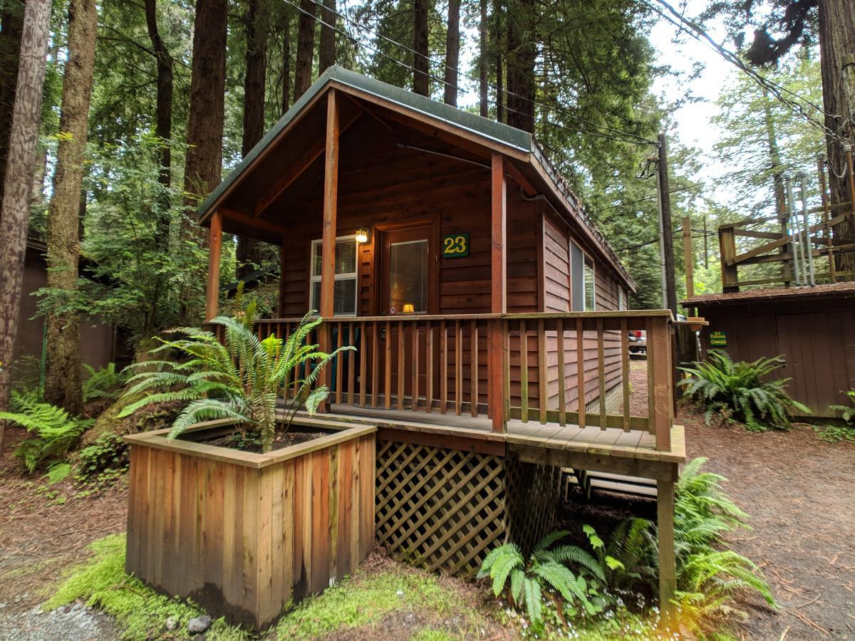 Emerald Forest Cabins Trinidad Bagian luar foto